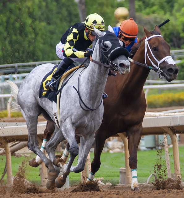 用个人能力 用个人能力