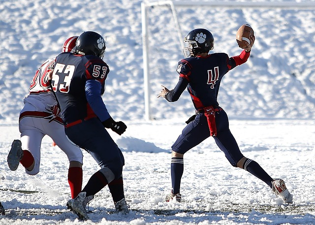 整体战略的 整体战略的