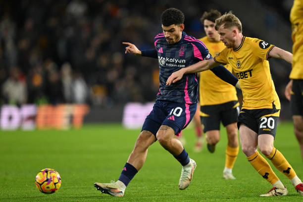 培养机会 培养机会