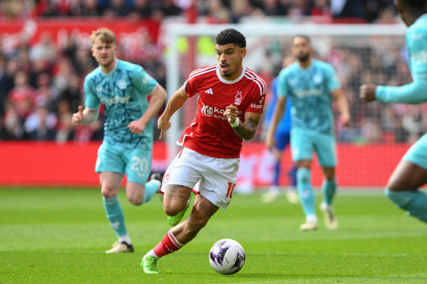 不仅要延续 不仅要延续